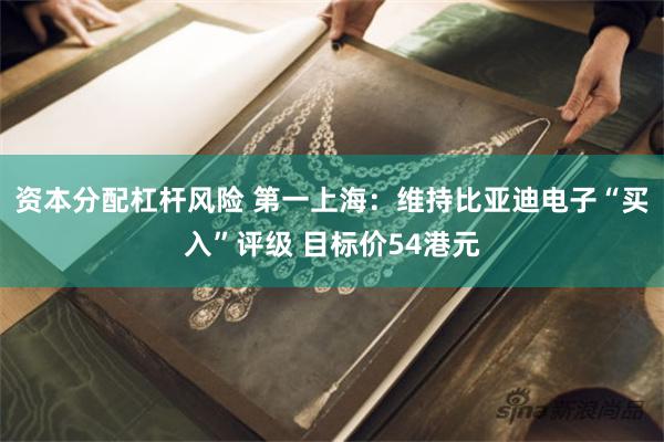 资本分配杠杆风险 第一上海：维持比亚迪电子“买入”评级 目标价54港元