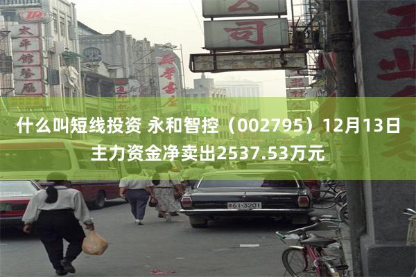 什么叫短线投资 永和智控（002795）12月13日主力资金净卖出2537.53万元