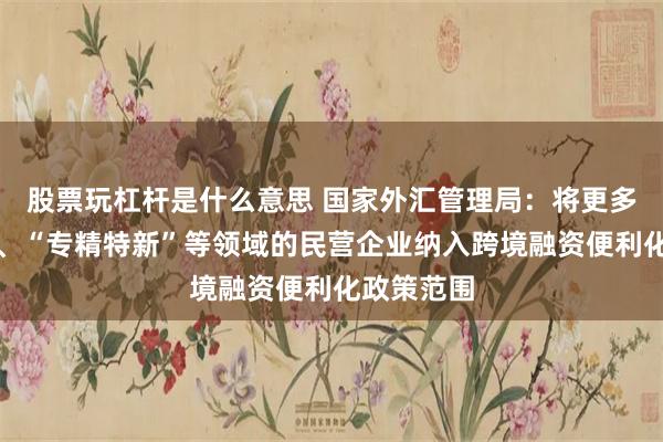 股票玩杠杆是什么意思 国家外汇管理局：将更多高新技术、“专精特新”等领域的民营企业纳入跨境融资便利化政策范围