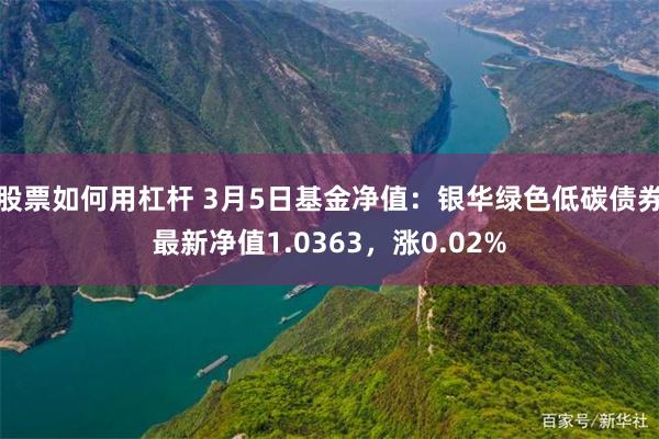 股票如何用杠杆 3月5日基金净值：银华绿色低碳债券最新净值1.0363，涨0.02%