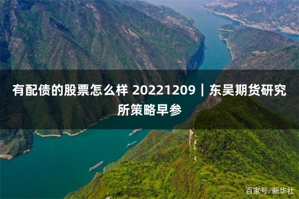 有配债的股票怎么样 20221209｜东吴期货研究所策略早参
