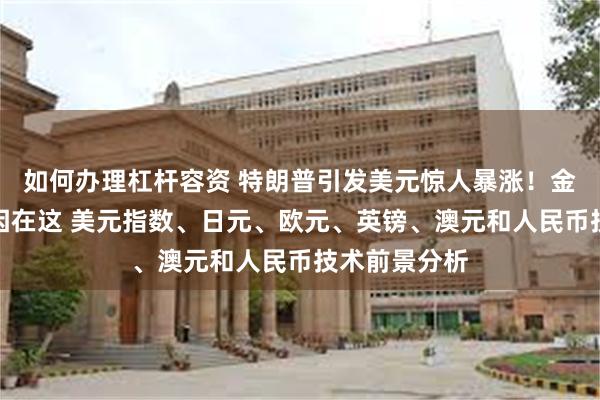 如何办理杠杆容资 特朗普引发美元惊人暴涨！金价大跌的原因在这 美元指数、日元、欧元、英镑、澳元和人民币技术前景分析