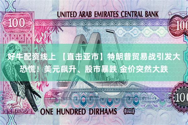 好牛配资线上 【直击亚市】特朗普贸易战引发大恐慌！美元飙升、股市暴跌 金价突然大跌