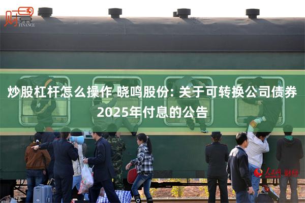 炒股杠杆怎么操作 晓鸣股份: 关于可转换公司债券2025年付息的公告
