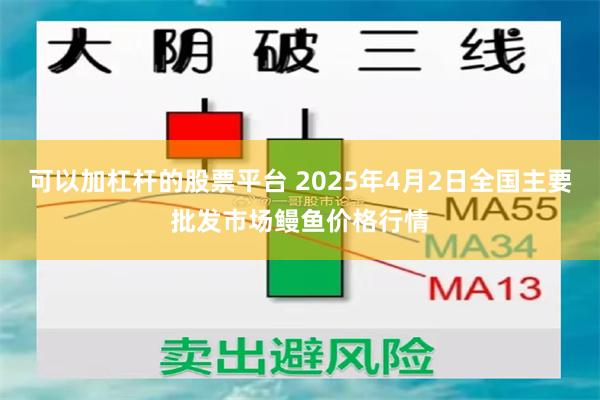可以加杠杆的股票平台 2025年4月2日全国主要批发市场鳗鱼价格行情