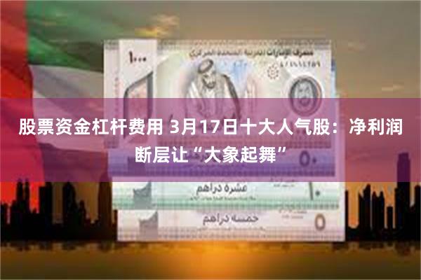 股票资金杠杆费用 3月17日十大人气股：净利润断层让“大象起舞”