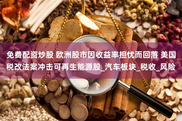 免费配资炒股 欧洲股市因收益率担忧而回落 美国税改法案冲击可再生能源股_汽车板块_税收_风险