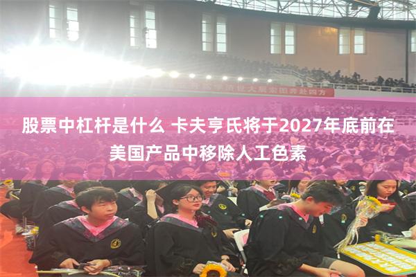 股票中杠杆是什么 卡夫亨氏将于2027年底前在美国产品中移除人工色素