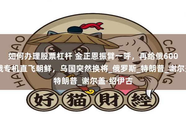 如何办理股票杠杆 金正恩振臂一呼，再给俄6000精兵，俄专机直飞朝鲜，乌国突然换将_俄罗斯_特朗普_谢尔盖·绍伊古