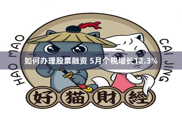 如何办理股票融资 5月个税增长12.3%