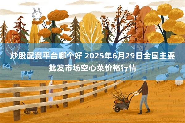炒股配资平台哪个好 2025年6月29日全国主要批发市场空心菜价格行情